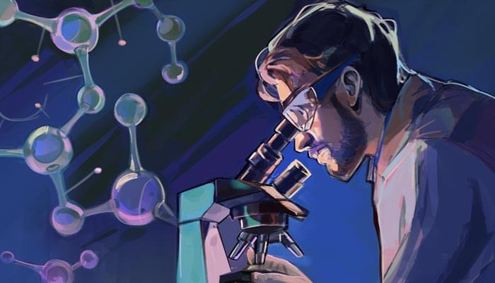 Scientist studying chitoplast